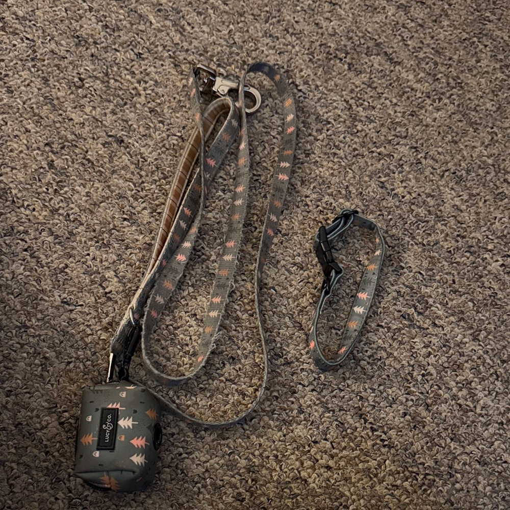 Gray and Pink Dog Leash and Collar Set + poop bag holder